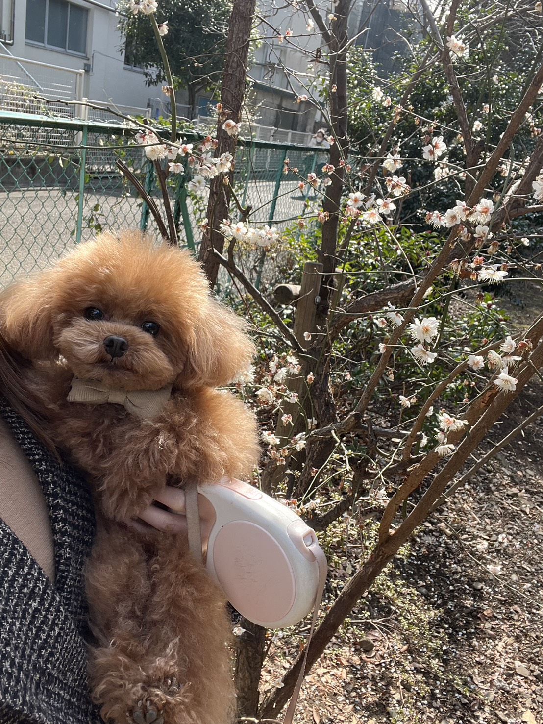 第4回 トレーナー日常ブログ